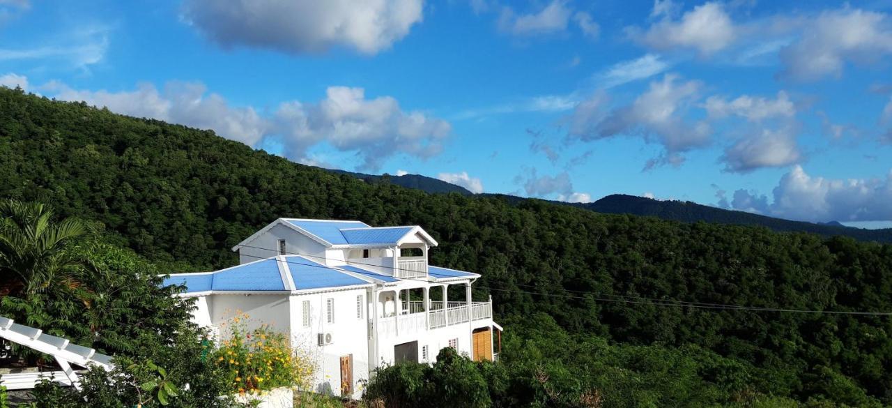 Apartament Cote Caraibes Bouillante Zewnętrze zdjęcie